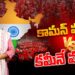 కామన్ మ్యాన్ VS కమీనే మ్యాన్..  | Common Man VS Commie Man | Damagundam Forest | Devika Journalist