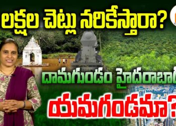 12 లక్షల చెట్లు నరికేస్తారా..? నిజానిజాలు ఏంటి ? | Damagundam Forest Issue | Devika Journalist