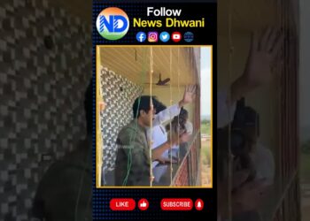 పీఠాపురం పవన్ కళ్యాణ్ ఎన్నికల ప్రచారంలో రామ్ చరణ్ #ramcharan #pawankalyan @newsdhwani