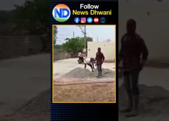 కూలీగా మారిన పద్మశ్రీ మొగిలయ్య… #padmasri #kinneramogilaiah #newsdhwani