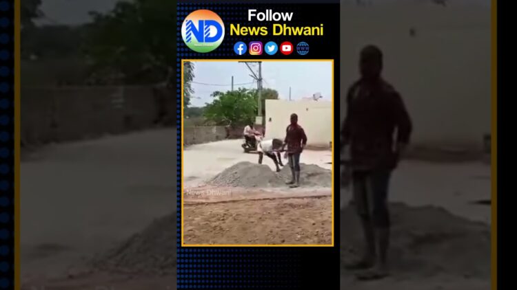 కూలీగా మారిన పద్మశ్రీ మొగిలయ్య… #padmasri #kinneramogilaiah #newsdhwani