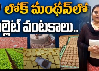 లోక్ మంథన్ లో మిల్లెట్ వంటకాలు.. | LokManthan 2024 in Bhagyanagar | Devika Journalist