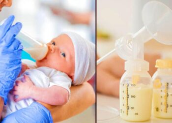 చనుబాలతో వ్యాపారం-కంపెనీ లైసెన్స్ రద్దు