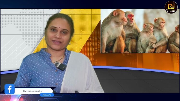 శైవకార్యాన్ని కూడా హనుమంతుడే నెత్తినెత్తుకున్నాడా?| Devika Journalist