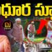 మోదీ నాటిన మొక్క ప్రత్యేకత ఏంటంటే || Sindhur Plant || Modi || Environment Day || Devika Journalist