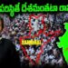 Are there really no Hindus in Sambhal? సంభల్ లో నిజంగా హిందువులు లేరా..?| Devika Journalist