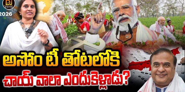 అసోం టీతోటల్లోకి చాయ్ వాలా! || Devika Journalist ||