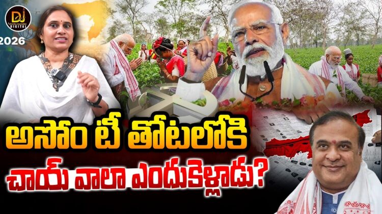 అసోం టీతోటల్లోకి చాయ్ వాలా! || Devika Journalist ||
