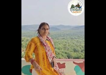 తాడ్వాయ్ డీప్ ఫారెస్ట్…తెలంగాణ సఫారీ నుంచి