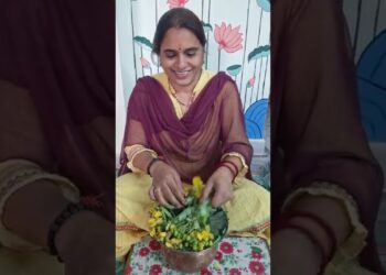 బతుకమ్మ పూలు ఇవీ!! బతుకమ్మ పేర్పు ఇలా!!